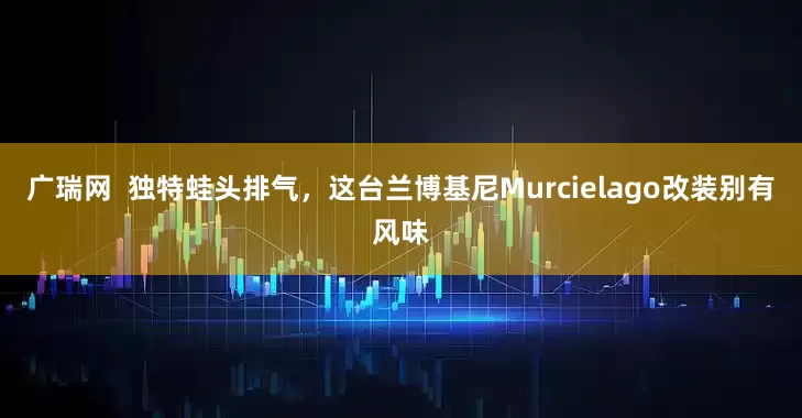 广瑞网  独特蛙头排气，这台兰博基尼Murcielago改装别有风味